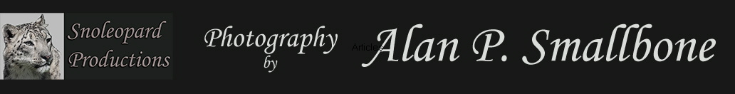 Articles